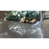 Дикая фауна - 13.jpg Дикая фауна - 13.jpg